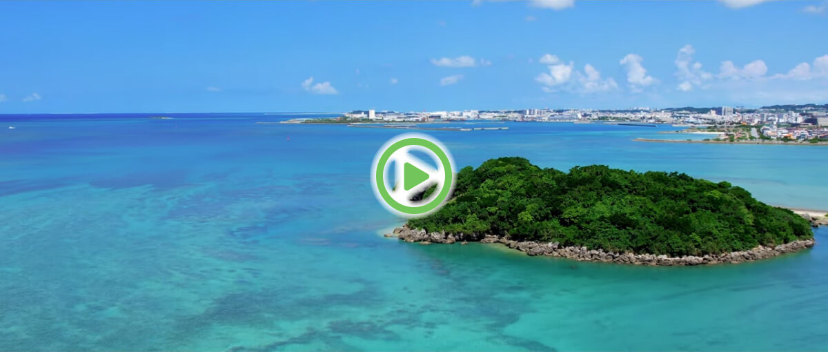 エターナルムービー